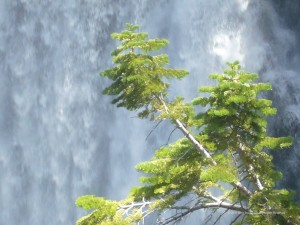 Devil's Postpile National Monument - Rainbow Falls