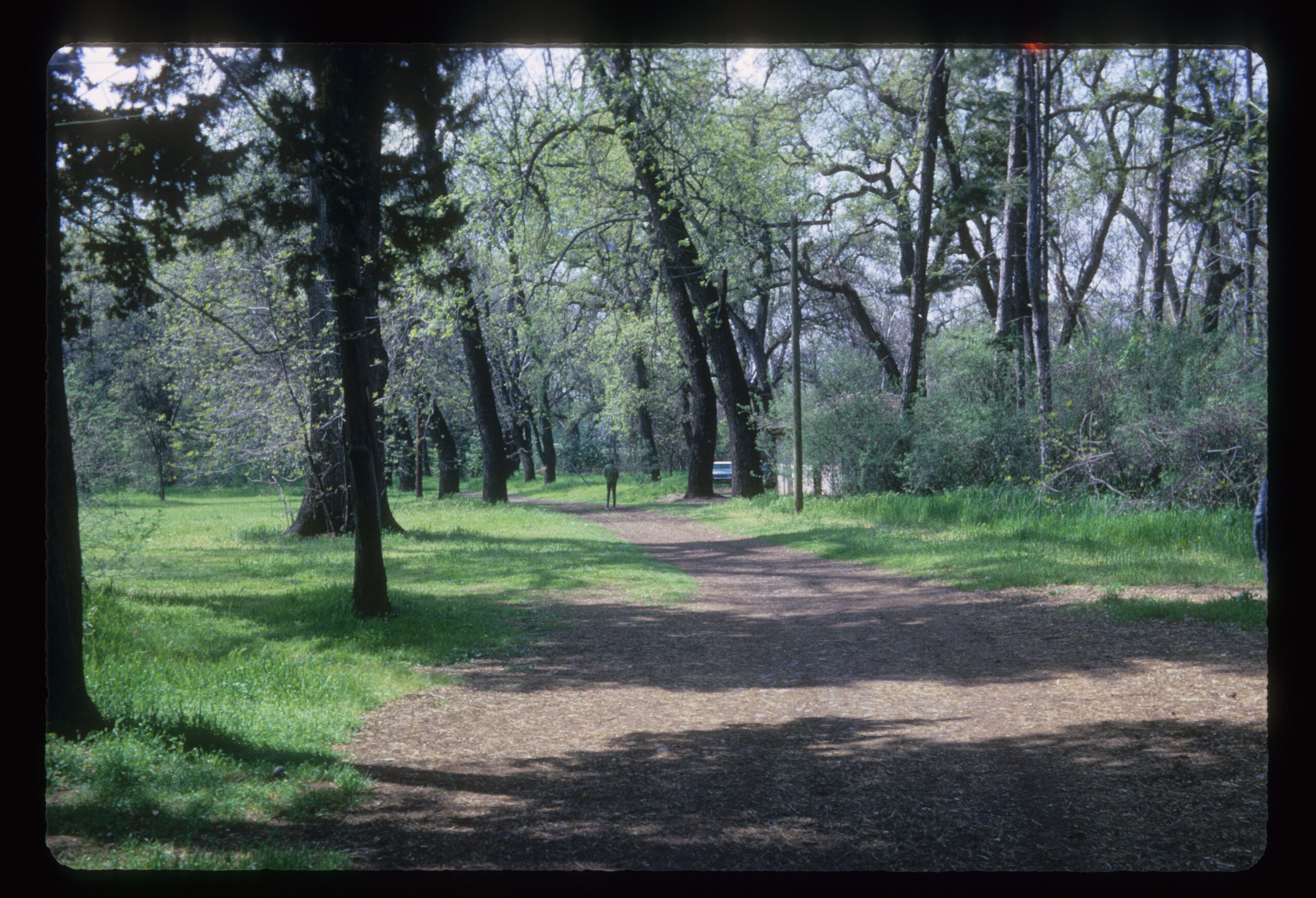 The Burger Prophecy: Why Litigators Must Embrace ADR as Client Relief