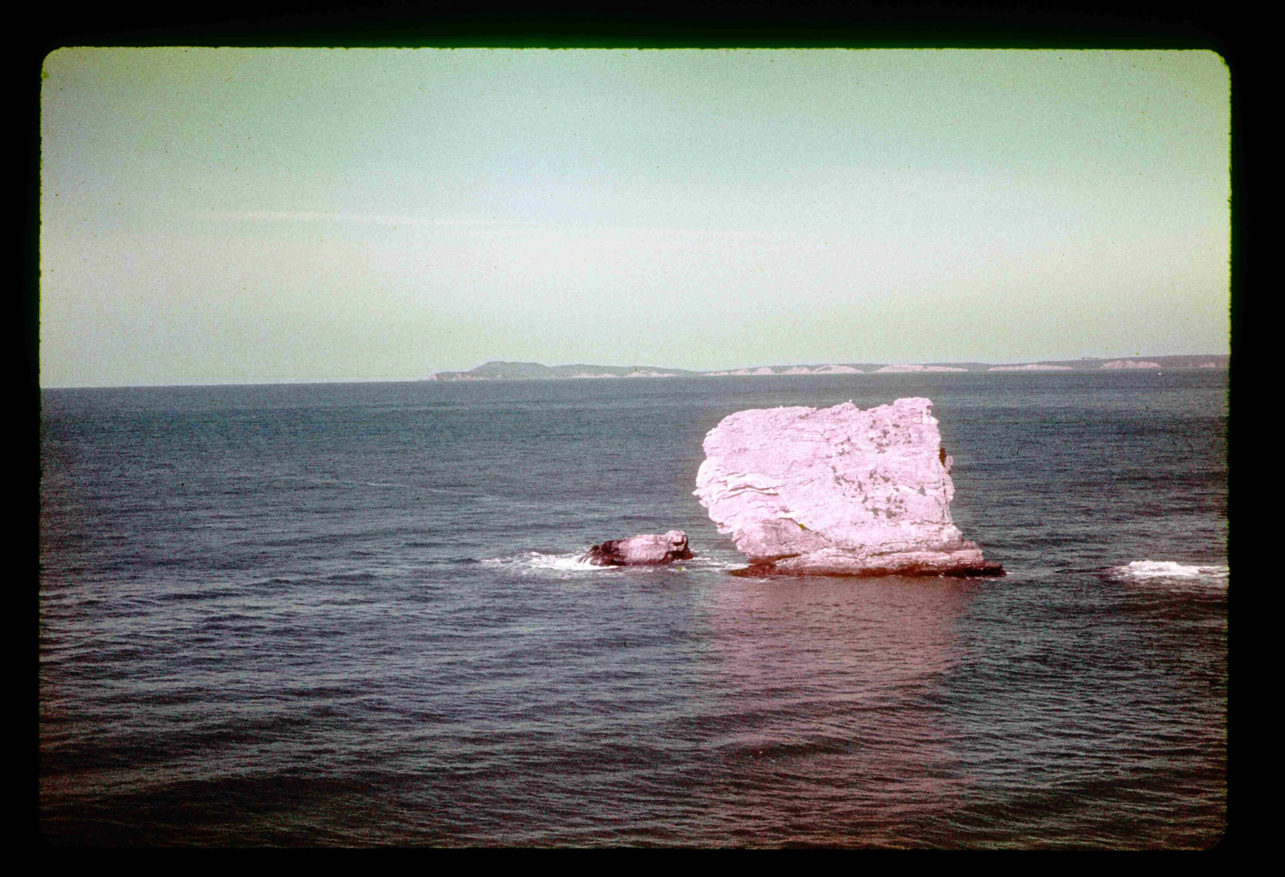 The Strategic Mandate: When to Litigate vs. When to Mediate